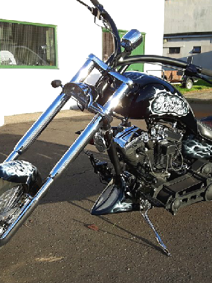 Long n low Harley side view